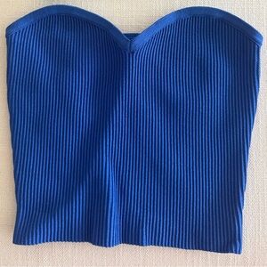 Aritzia Blue Ribbed Crop Top